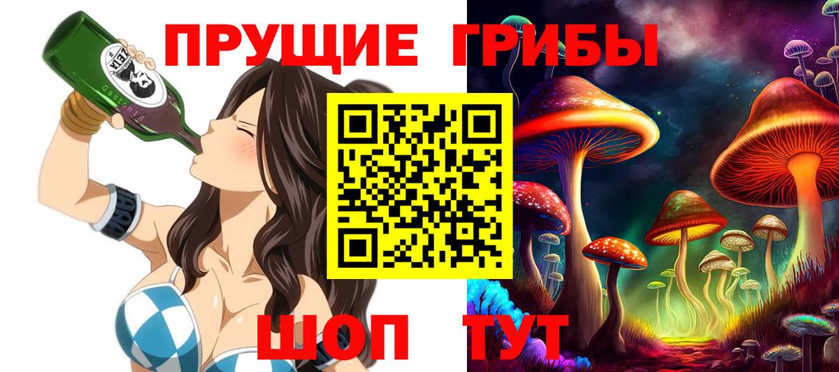 Кропоткин  Псилоцибиновые грибы MAGIC MUSHROOMS  Вход с VPN 
