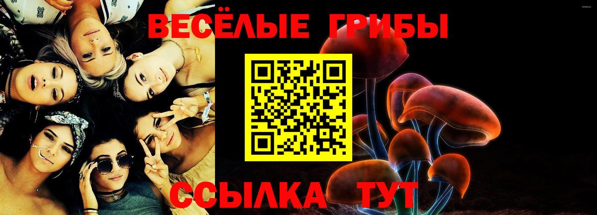 Галлюциногенные грибы Cubensis Кропоткин
